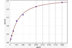 Vascular Endothelial Growth Factor C (VEGFC) ELISA Kit