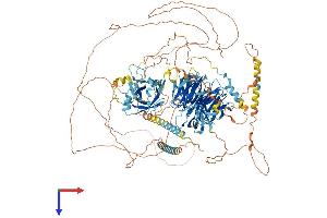 AlphaFold protein structure predicition of Human Recombinant AHI1 Protein, UniprotID Q8N157
