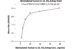 Immobilized Human IL-13 R alpha 2, Fc Tag at 5 μg/mL (100 μL/well) can bind Biotinylated Human IL-13, His,Avitag (ABIN6950979,ABIN6952280) with a linear range of 0.