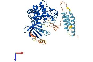 AlphaFold protein structure predicition of Human Recombinant STK24 Protein, UniprotID Q9Y6E0