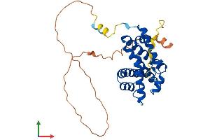AlphaFold protein structure predicition of Human Recombinant UQCC1 Protein, UniprotID Q9NVA1