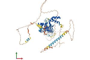 AlphaFold protein structure predicition of Human Recombinant FAM83D Protein, UniprotID Q9H4H8