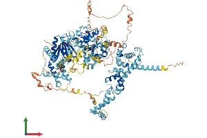 AlphaFold protein structure predicition of Mouse Recombinant Smarca1 Protein, UniprotID Q6PGB8