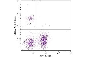 BALB/c mouse splenocytes were stained with Rat Anti-Mouse CD8α-APC/CY5.