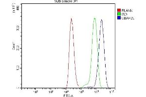 Flow Cytometry analysis of THP-1 cells using anti-UBAP2L antibody (ABIN7601038).