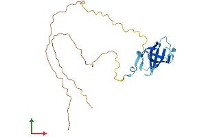 AlphaFold protein structure predicition of Human Recombinant GAR1 Protein, UniprotID Q9NY12