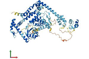 AlphaFold protein structure predicition of Human Recombinant NUB1 Protein, UniprotID Q9Y5A7