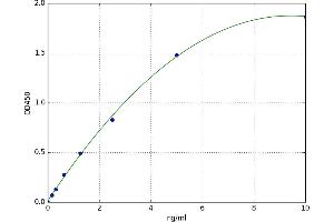 Chemokine (C-X-C Motif) Receptor 3 (CXCR3) ELISA Kit