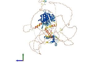 AlphaFold protein structure predicition of Human Recombinant LPIN1 Protein, UniprotID Q14693