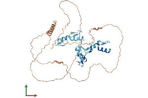 AlphaFold protein structure predicition of Mouse Recombinant Gfi1 Protein, UniprotID P70338