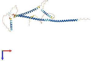 AlphaFold protein structure predicition of Human Recombinant GKAP1 Protein, UniprotID Q5VSY0