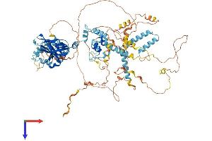AlphaFold protein structure predicition of Mouse Recombinant Pik3ap1 Protein, UniprotID Q9EQ32