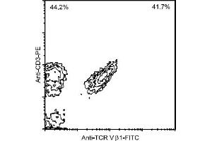 anti-T Cell Receptor (TCR) V beta 1 antibody (FITC)