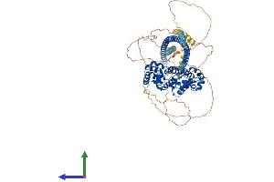 AlphaFold protein structure predicition of Mouse Recombinant Kazn Protein, UniprotID Q69ZS8