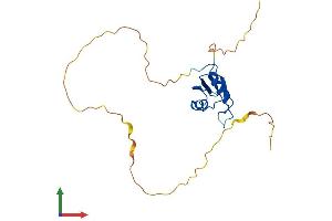 AlphaFold protein structure predicition of Human Recombinant RBPMS Protein, UniprotID Q93062