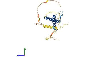 AlphaFold protein structure predicition of Human Recombinant BHLHE23 Protein, UniprotID Q8NDY6