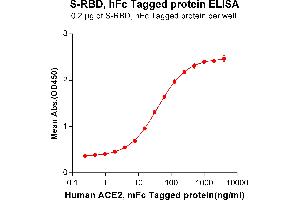 ELISA plate pre-coated by 2 μg/mL (100 μL/well) S-RBD, hFc tagged protein ABIN6961170, ABIN7042369 and ABIN7042370 can bind Human , mFc Tagged protein (ABIN6961130, ABIN7042289 and ABIN7042290) in a linear range of 0.