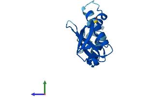 AlphaFold protein structure predicition of Human Recombinant SNRNP25 Protein, UniprotID Q9BV90