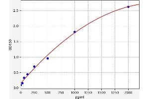 Typical standard curve (BCL6 Kit ELISA)