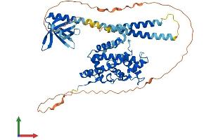 AlphaFold protein structure predicition of Mouse Recombinant Plekha8 Protein, UniprotID Q80W71