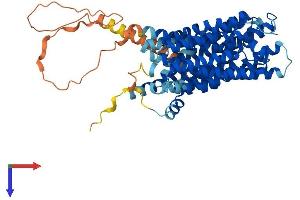 AlphaFold protein structure predicition of Human Recombinant SPNS2 Protein, UniprotID Q8IVW8