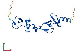 AlphaFold protein structure predicition of Human Recombinant LMO3 Protein, UniprotID Q8TAP4