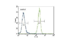 FOXP3 Antibody (C-term) (ABIN389295 and ABIN2839415) flow cytometric analysis of 293 cells (right histogram) compared to a negative control (left histogram). (FOXP3 anticorps  (C-Term))