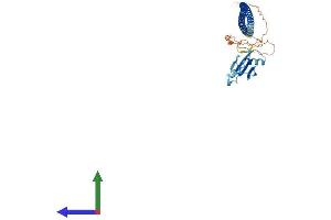 AlphaFold protein structure predicition of Human Recombinant RASSF8 Protein, UniprotID Q8NHQ8
