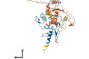 AlphaFold protein structure predicition of Human Recombinant ZFP42 Protein, UniprotID Q96MM3