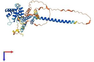 AlphaFold protein structure predicition of Human Recombinant CNPPD1 Protein, UniprotID Q9BV87