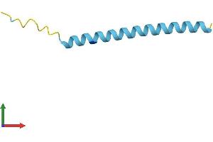 AlphaFold protein structure predicition of Human Recombinant COL5A1-AS1 Protein, UniprotID Q5SY13