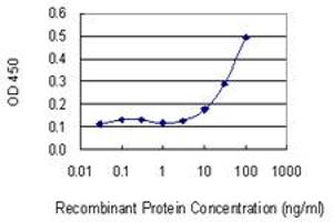 Detection limit for recombinant GST tagged SNRPB is 3 ng/ml as a capture antibody. (SNRPB anticorps  (AA 1-80))