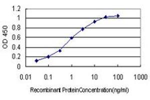 Detection limit for recombinant GST tagged QPRT is approximately 0.