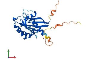 AlphaFold protein structure predicition of Human Recombinant RAB19 Protein, UniprotID A4D1S5