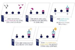 Studying the interaction between the S-RBD and the ACE2 protein in the presence of a potential inhibitor