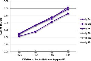 ELISA plate was coated with purified mouse IgGκ, IgMκ, IgAκ, IgGλ, IgMλ, and IgAλ. (Rat anti-Souris Ig (Chain kappa) Anticorps (HRP))
