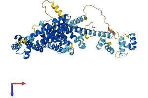 AlphaFold protein structure predicition of Human Recombinant NUB1 Protein, UniprotID Q9Y5A7