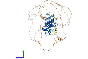 AlphaFold protein structure predicition of Human Recombinant OGFR Protein, UniprotID Q9NZT2
