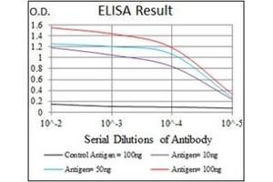 anti-Myeloproliferative Leukemia Virus Oncogene (MPL) antibody