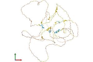 AlphaFold protein structure predicition of Human Recombinant BCAS1 Protein, UniprotID O75363