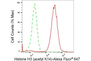 Flow cytometric analysis of Histone H3 (acetyl K14) expression in HeLa cells using Histone H3 (acetyl K14) antibody (ABIN7798949), 1:2,000).