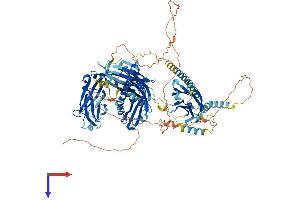 AlphaFold protein structure predicition of Human Recombinant ESYT2 Protein, UniprotID A0FGR8