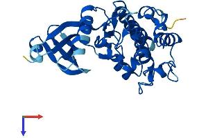 AlphaFold protein structure predicition of Mouse Recombinant Tssk6 Protein, UniprotID Q925K9