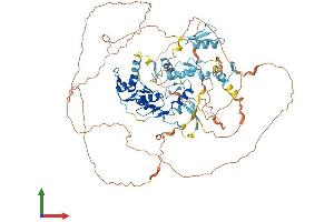 AlphaFold protein structure predicition of Human Recombinant ZNF280C Protein, UniprotID Q8ND82
