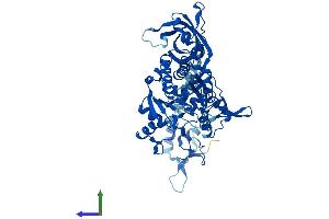 AlphaFold protein structure predicition of Human Recombinant NARS1 Protein, UniprotID O43776