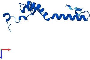 AlphaFold protein structure predicition of Mouse Recombinant Ndufs5 Protein, UniprotID Q99LY9