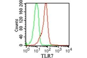 TLR7 Flow Cytometry Flow Cytometry of Mouse Anti-TLR7 antibody.