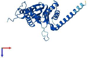 AlphaFold protein structure predicition of Mouse Recombinant Psma4 Protein, UniprotID Q9R1P0