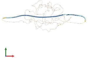 AlphaFold protein structure predicition of Human Recombinant MTUS1 Protein, UniprotID Q9ULD2