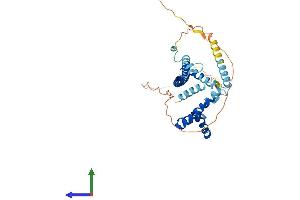 AlphaFold protein structure predicition of Mouse Recombinant Hmg20a Protein, UniprotID Q9DC33